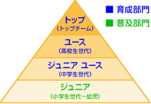 組織図